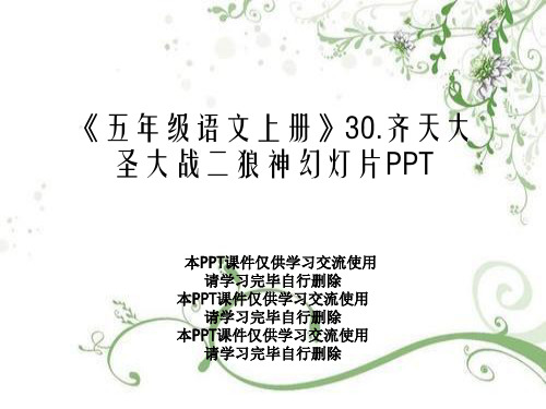 《五年级语文上册》30.齐天大圣大战二狼神幻灯片PPT
