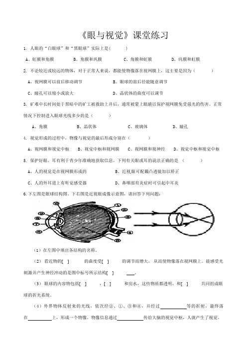 生物人教版七年级下册《眼与视觉》课后习题