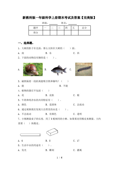 新教科版一年级科学上册期末考试及答案【完美版】