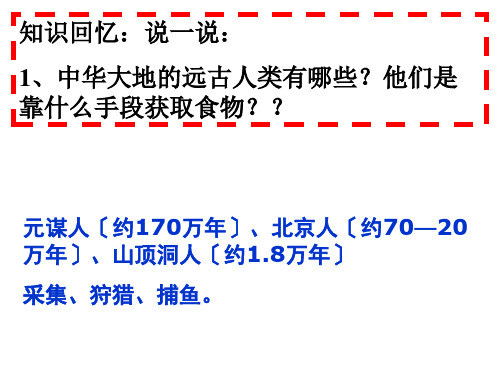 北师大2022课标版 初中历史七年级上册第一单元第2课 原始农业与农耕聚落(共46张PPT)