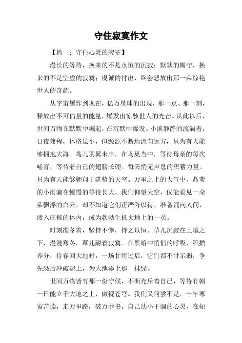 守住寂寞作文