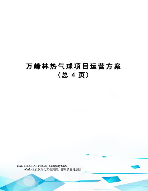 万峰林热气球项目运营方案