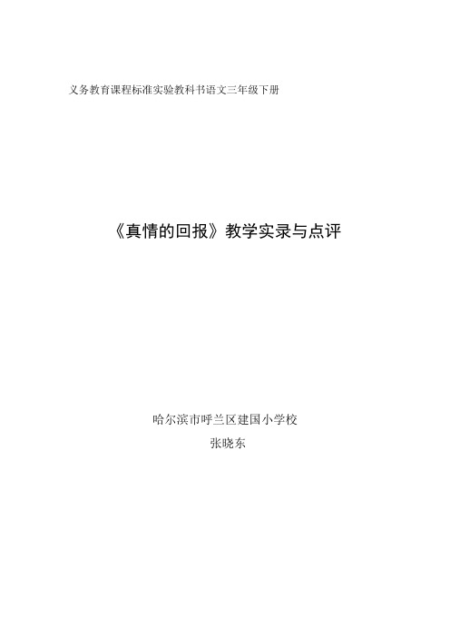 张晓东《真情的回报》教学设计及点评