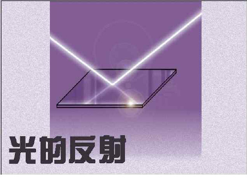 七年级科学光的反射2