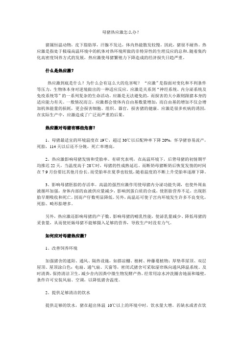母猪热应激怎么办