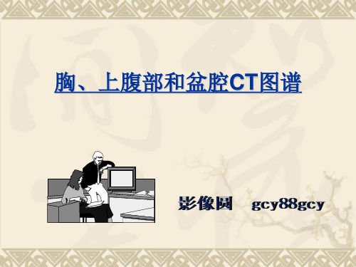 胸、上腹和盆腔CT详细实用图解