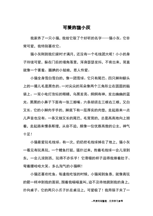 可爱的猫小灰_优秀作文
