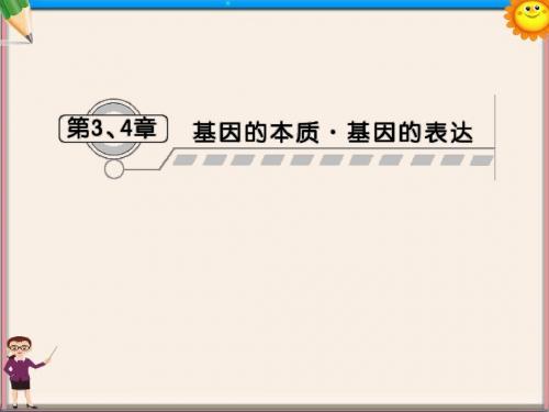 高三生物专题复习 基因的本质课件