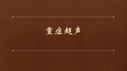 重症超声概述心ppt课件