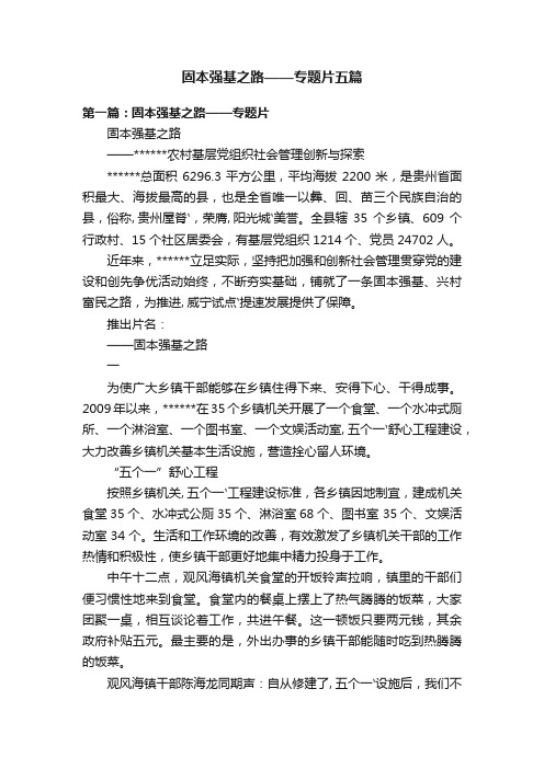 固本强基之路——专题片五篇