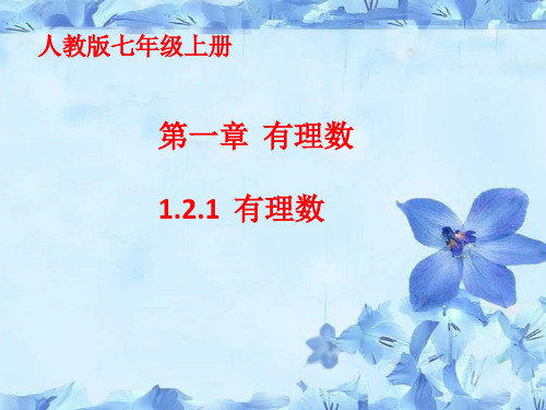 人教版数学七年级上册有理数有理数PPT