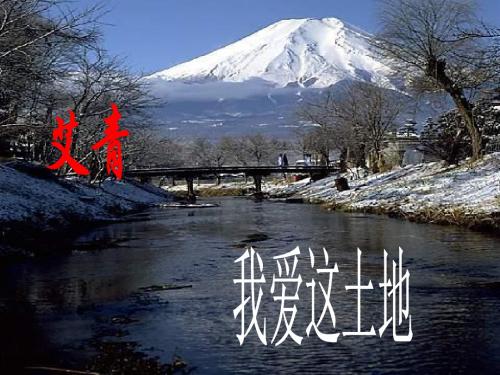 九年级语文我爱这土地1(1)