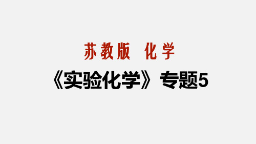 2019-2020学年高二苏教版实验化学模块：电解与电镀(教学课件)附练习(浙江专用)