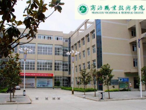 线虫4：丝虫