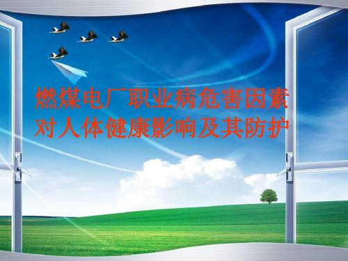 燃煤电厂职业病危害因素对人体健康的影响及其防护