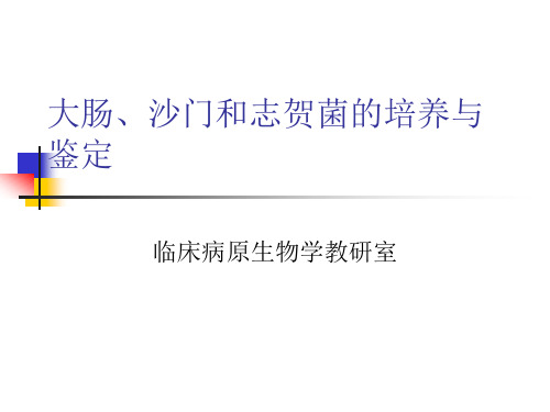 大肠、沙门、志贺菌的培养与鉴定