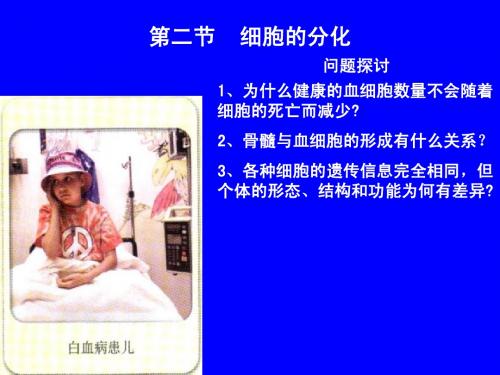 细胞分化、衰老、凋亡和癌变(必会点)