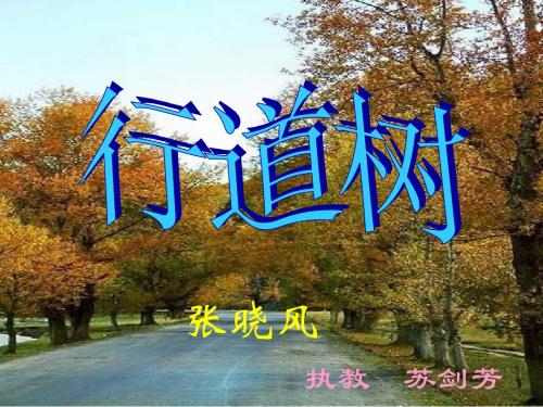 七年级语文行道树5