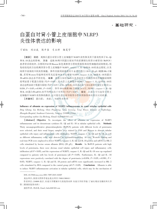 白蛋白对肾小管上皮细胞中NLRP3炎性体表达的影响
