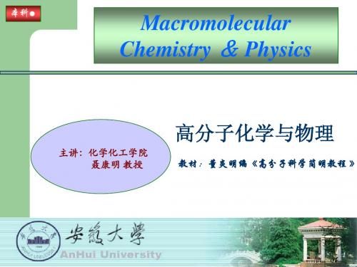 第2章  链式共聚合反应