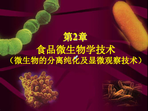 第二章纯培养和显微技术