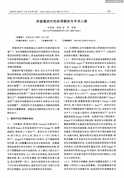 肝脏尾状叶的应用解剖与手术入路
