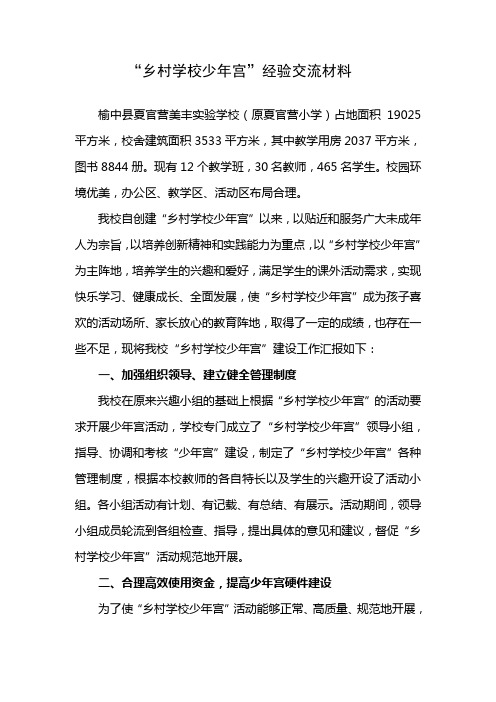 乡村学校少年宫经验交流材料
