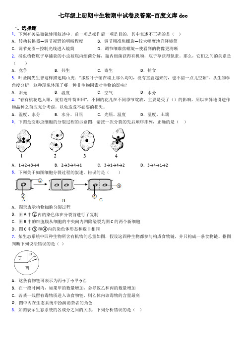 七年级上册期中生物期中试卷及答案-百度文库doc
