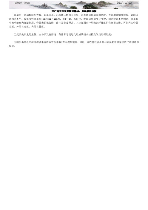 妇产科主治医师辅导精华卵巢解剖结构