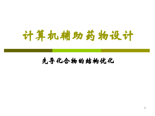 先导化合物的结构优化