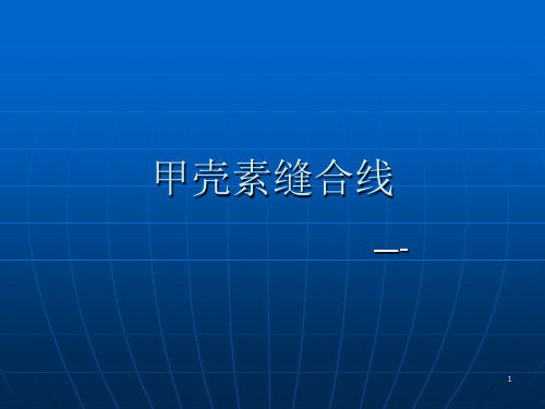 甲壳素缝合线ppt课件