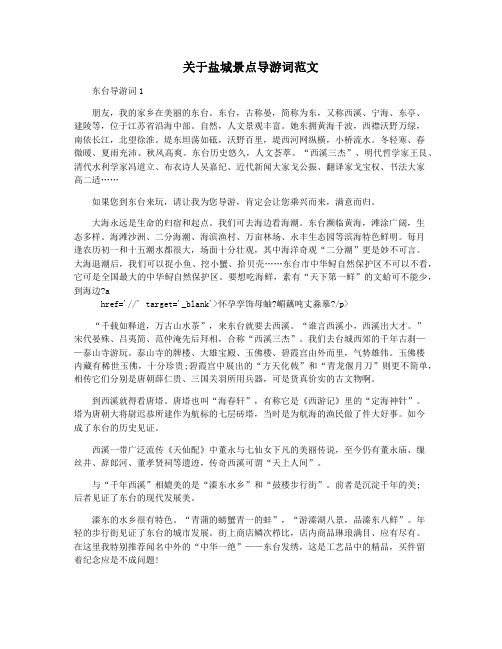 关于盐城景点导游词范文