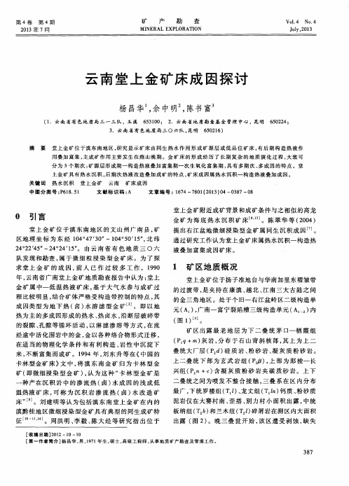 云南堂上金矿床成因探讨