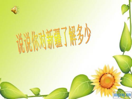 我是少年阿凡提ppt课件