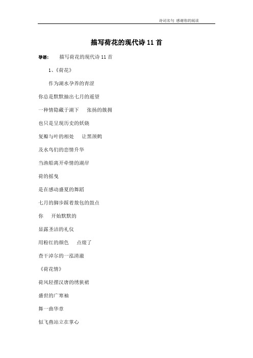 描写荷花的现代诗11首