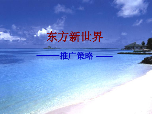 东方新世界策划案优选PPT