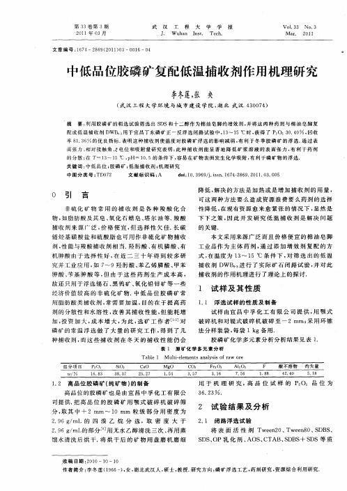 中低品位胶磷矿复配低温捕收剂作用机理研究