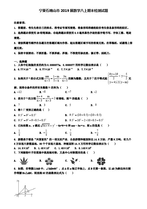 宁夏石嘴山市2019届数学八上期末检测试题