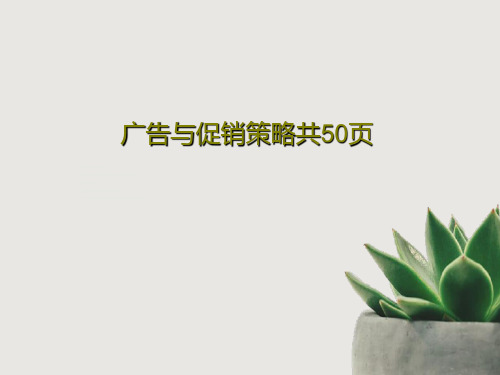 广告与促销策略共50页52页PPT