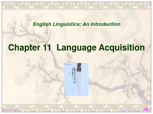 Chapter 11 Language Acquisition