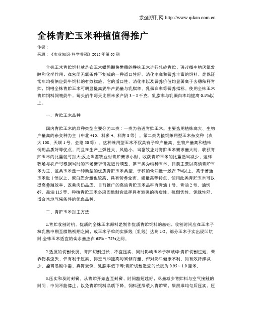全株青贮玉米种植值得推广