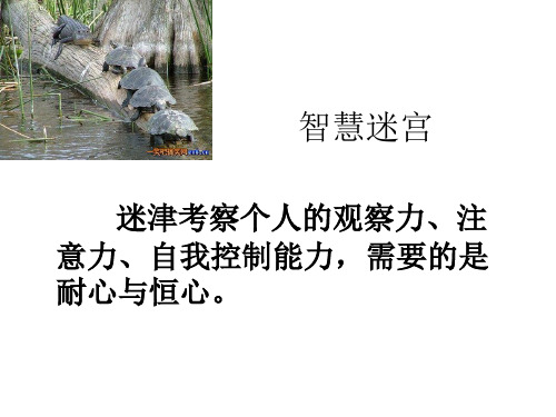 智慧迷宫