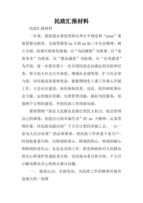 民政汇报材料