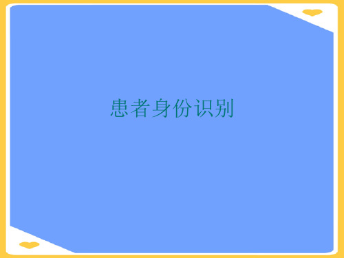 患者身份识别(优秀)PPT资料