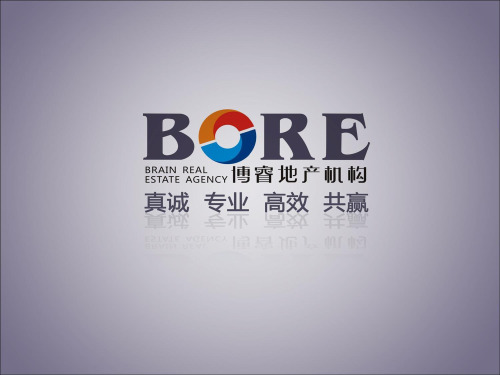 黔西县项目案名提案