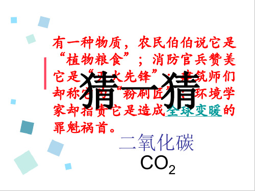 浙教版八年级科学下3.4二氧化碳教学课件共17张PPT