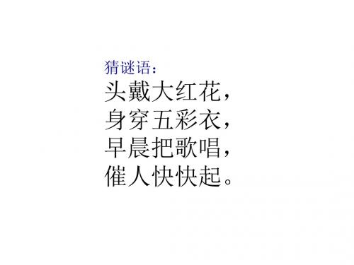 祖国真大我们的大中国课件品德与社会教科版四年级下册