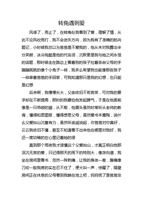 高中作文：转角遇到爱
