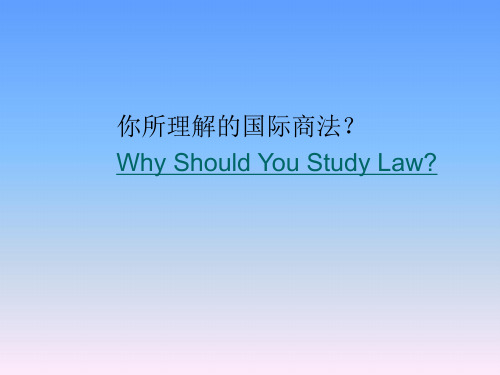 国际商法课件第一章