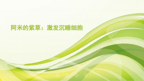 阿米的紫草：给肌肤补充营养成分